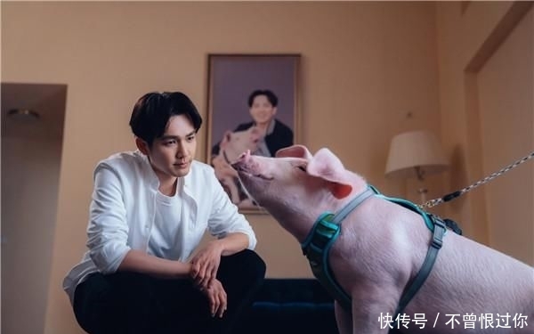 今天是2019年最后一天了