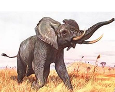 师氏剑齿象是被人类捕杀而灭绝吗