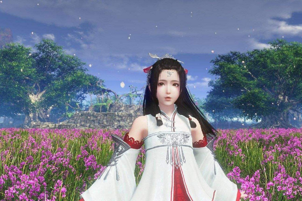 十大最美天刀捏脸数据怎么导入?