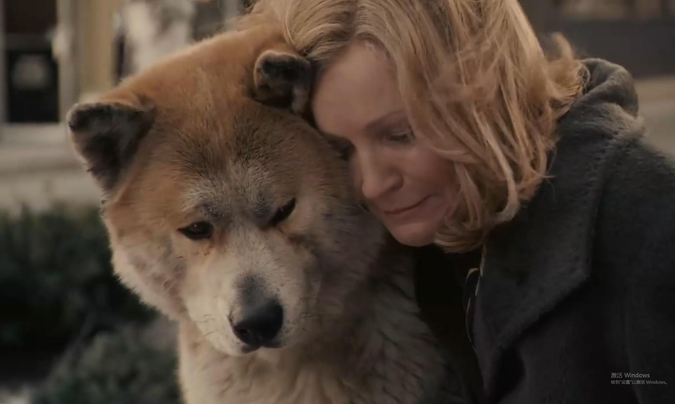 《美国主人与日本土狗秋田犬的感人故事》【大嘴鱼说电影】第14期