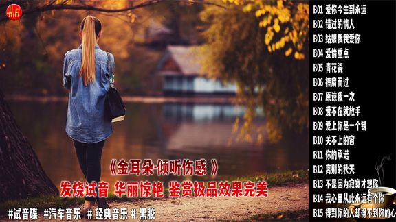 [图]《金耳朵-倾听伤感 》发烧试音 华丽惊艳,鉴赏极品效果完美.