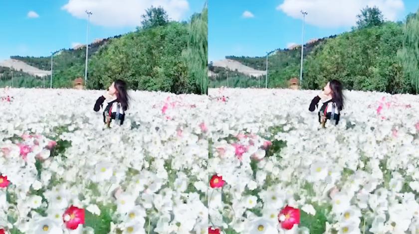 360影视 影视搜索 360影视 影视搜索