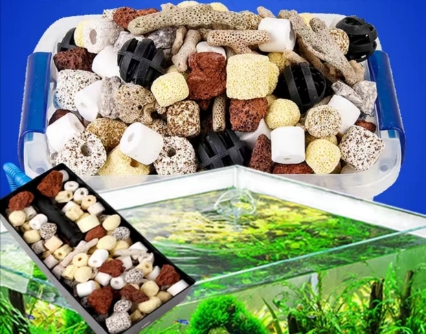 鱼缸滤材暴晒后能杀死寄生虫吗?