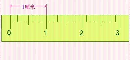 一分米的长度实际图片图片