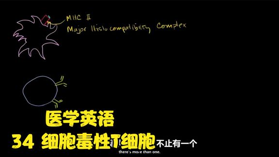 360影视 影视搜索 360影视 影视搜索