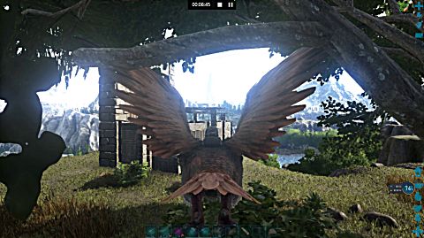 方舟生存进化仙境单人驯养狮鹫