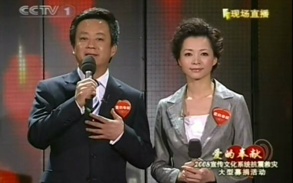 [图]【董卿】20080518爱的奉献赈灾晚会董卿cut