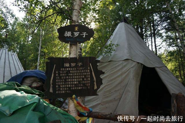 中国的专家为什么成了专家