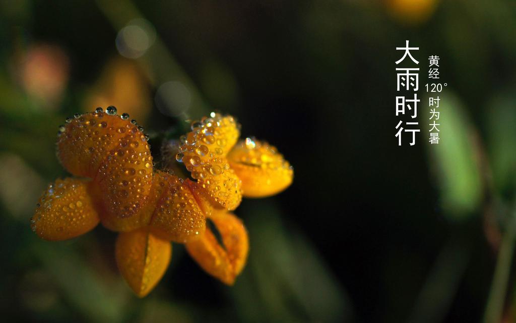 24节气之大暑物语电脑壁纸[图9]