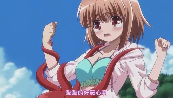 一群女生在沙滩上一个女生被章鱼抓住的动漫叫什么名字?