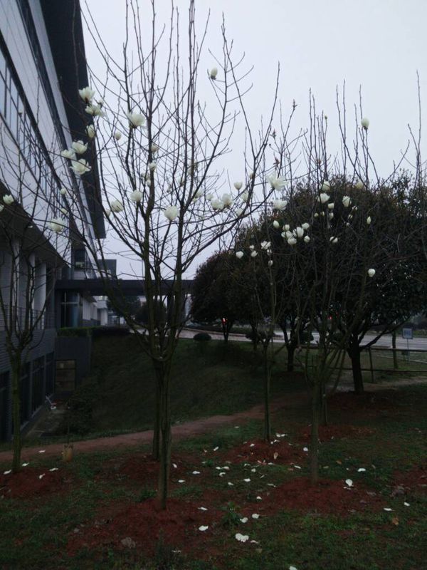 二0一六年国家法定节假日有哪些?