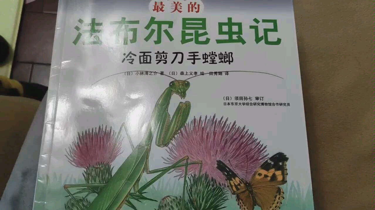 [图]最美的法布尔昆虫记-冷面剪刀手螳螂