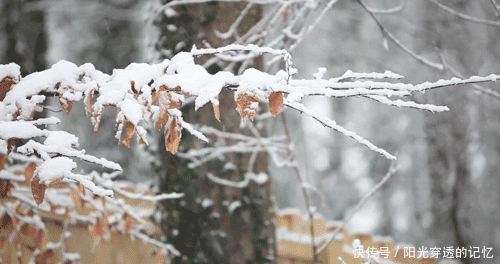 我喜欢的你在哪
