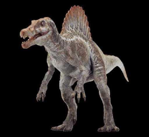 0 侏罗纪公园 3里面的恐龙 那个把霸王龙一口x死的是什么恐龙?