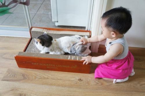 我做俯卧撑会有严重的脑充血感觉什么原因啊?