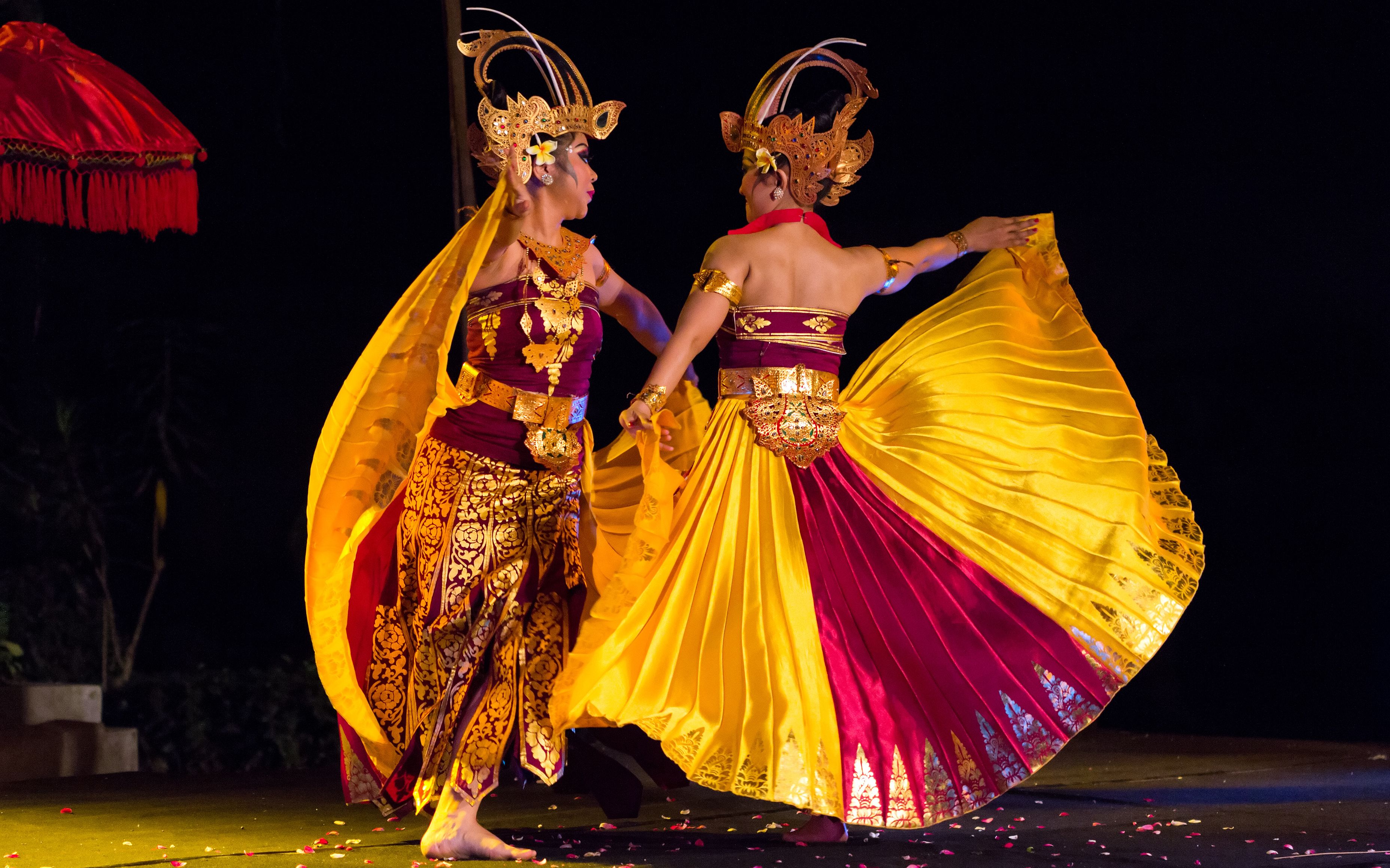 cendrawasih 天堂鸟 印度尼西亚舞蹈