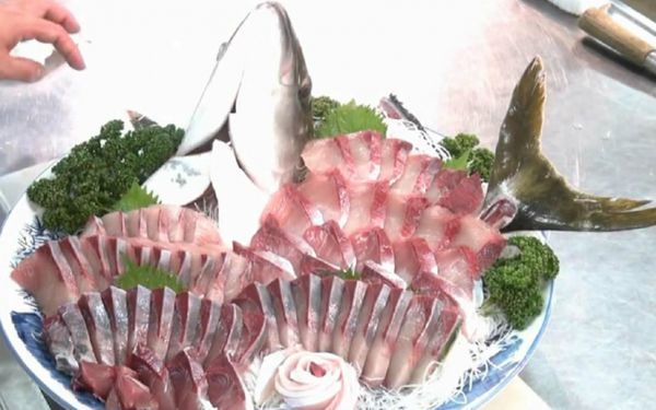 赤杆鱼,眼仁奈,鲂鮄,鰤,池鱼王,是什么鱼