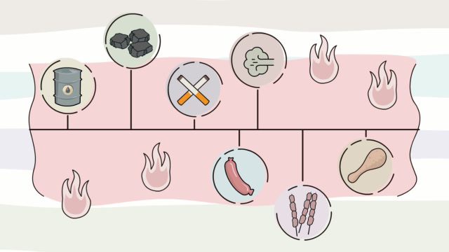 食品科普视频:公认的强致癌物苯并芘