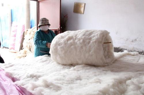 广州有多冷?冬天用不用盖两床被子?还有用不