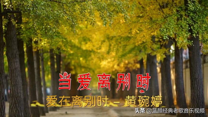 深入了解每位演员的精彩表现