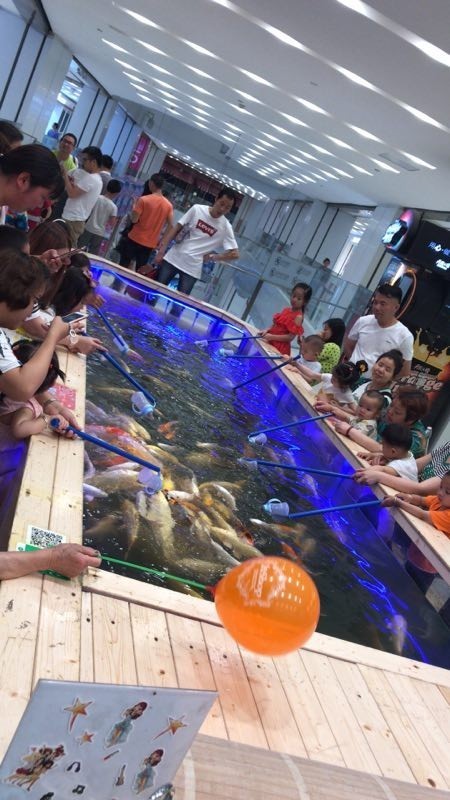 现在很多商场出现的这种给鱼喂奶的逗逗鱼吃奶鱼,有没有发展的前景