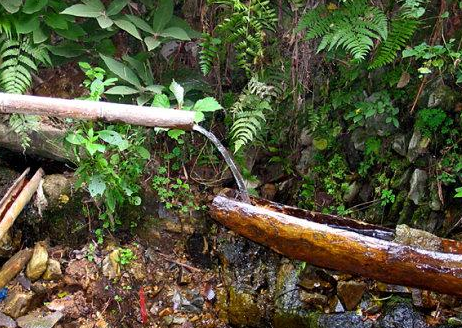 水笕是什么意思?