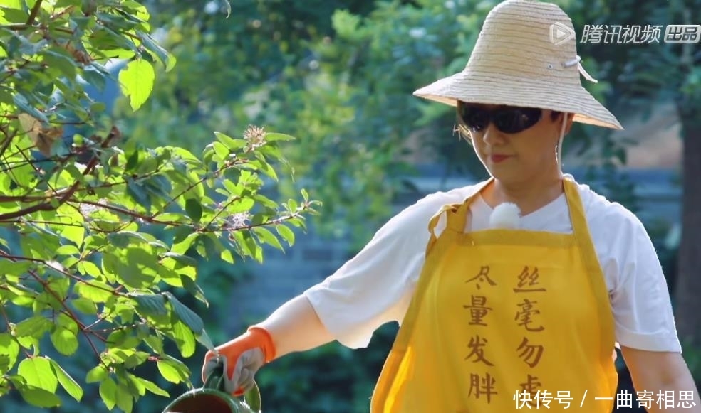 张国立和邓婕怎么好上的