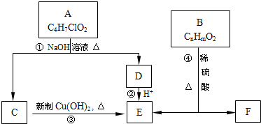 (1)e中官能團名稱______;①的反應類型______(2)③的化學方程式為