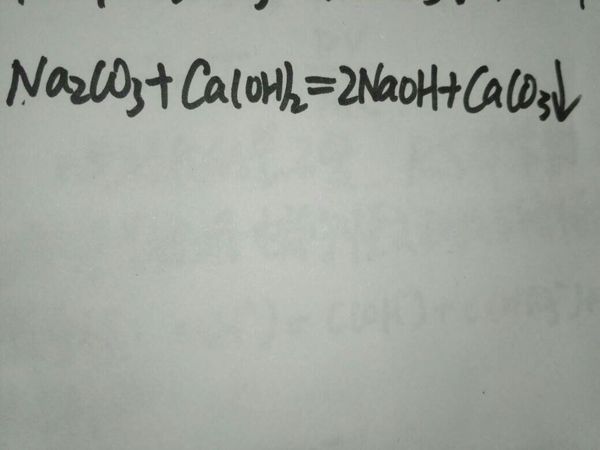 NaCo3与CaOH反映的化学方程式怎么写