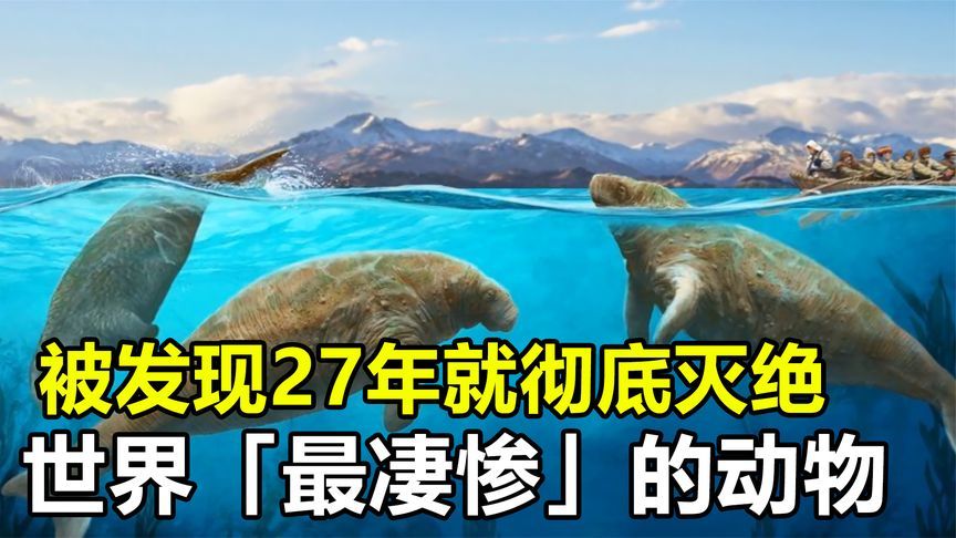 [图]世界上最凄惨的生物,从发现到灭绝仅用了27年,究竟怎么回事?