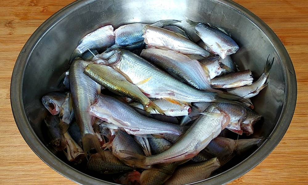 好兔视频上传时间:11月前时长:03:4610元买了一斤白条鱼,裹上鸡蛋面粉