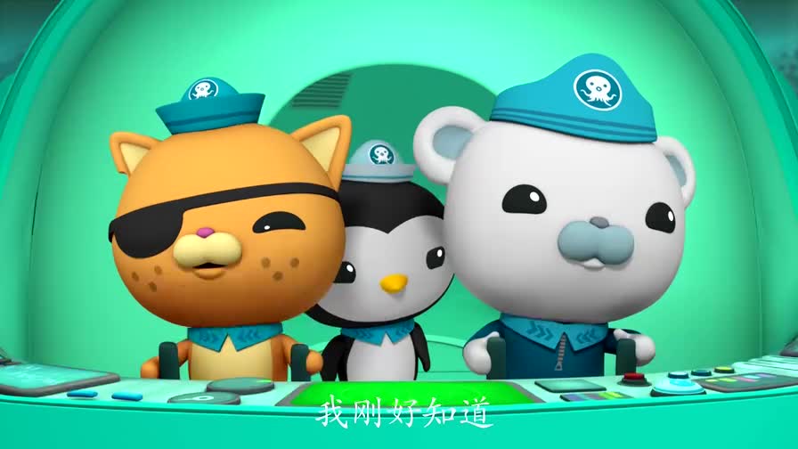 海底小纵队 第3季:弹涂鱼