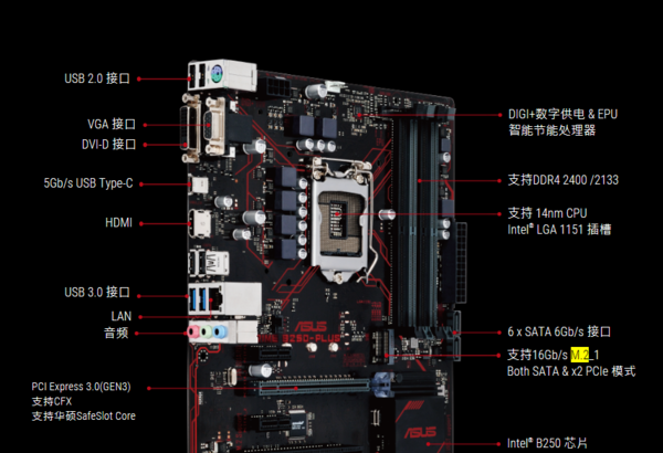 华硕b250 plus支持m2接口的固态硬盘吗?