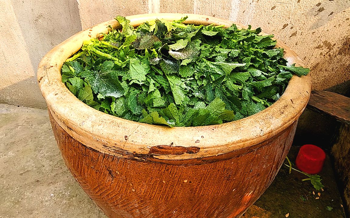 腌制雪里蕻咸菜还得老 方法,农村大娘30几年的经验,一次腌一缸