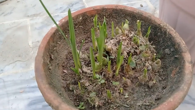 360影视-影视搜索