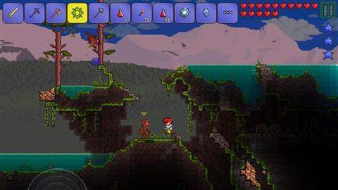 泰拉瑞亚若虫是什么