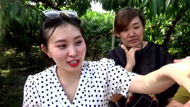 【天生吃货】可以喷汁的 阳山水蜜桃#1087