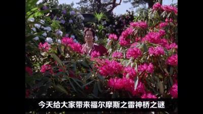 [图]一个女人的爱究竟能有多可怕,1984版福尔摩斯之雷神桥之谜