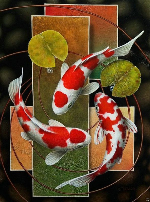 我是来抛砖引玉的,这图来自【怒波·鱼】:terry gileckiy 写实绘画