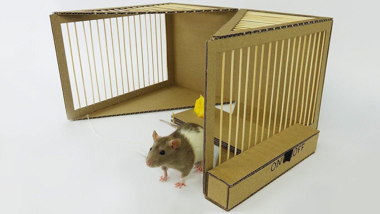 看diy达人如何 用纸板做一个电动老鼠夹