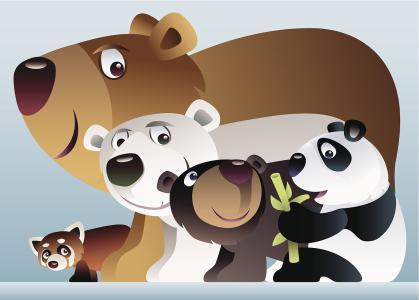 一只熊猫一只北极熊一只棕熊的动画片叫什么