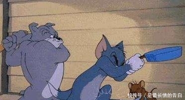 汤姆和杰瑞三只猫