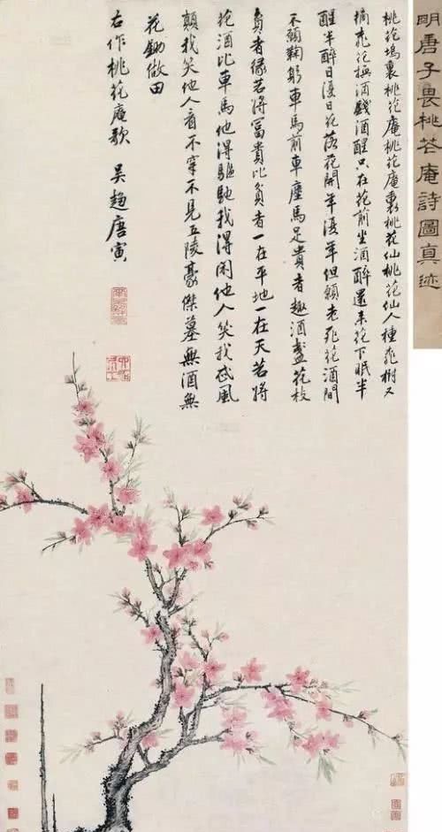 桃花什么桃花源