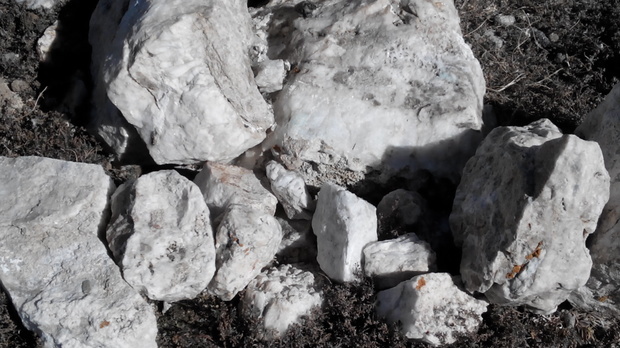 石头询问 下面这个是什么石头