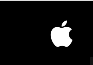 苹果手机强制关机后再开机后就一直显示白苹果
