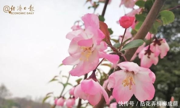 两个一百年奋斗目标的区别