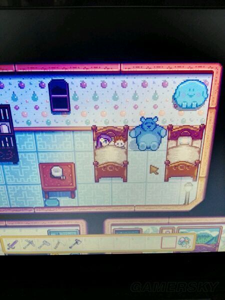 《星露谷物语》生孩子条件及攻略要点 怎么生孩子