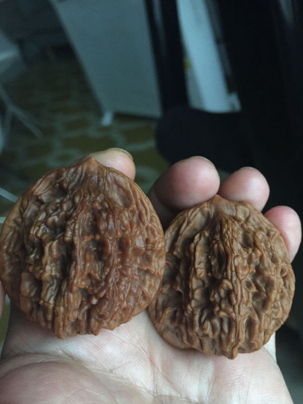 请问各位文玩核桃大神,我这个是阴皮还是反油.昨天才开始盘的