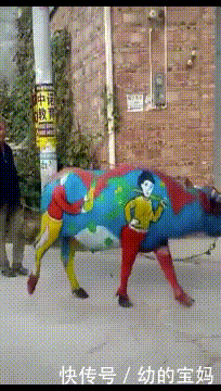 什么动物春天来了