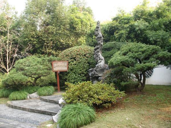 杭州西湖绉云峰